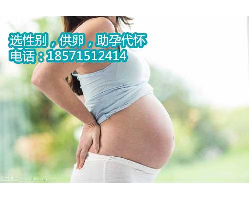 可以重庆借卵试管吗,1广东省妇幼保健院知名试管婴儿医生