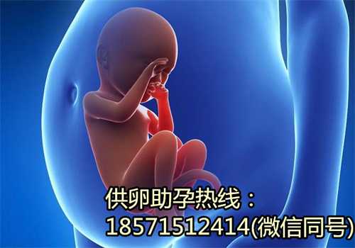 重庆借卵代孕价钱,温州附属第二医院试管婴儿多少钱