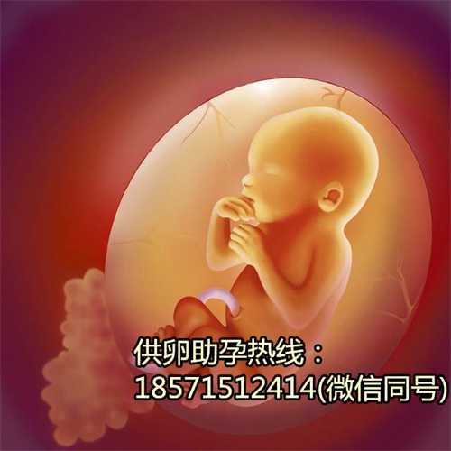 重庆供卵助孕医院,泰国碧雅威医院成功率多高