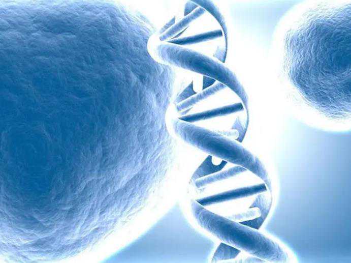 新生儿安睡指南：0-1岁宝宝轻松入眠的实用技巧