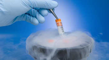 关于供卵试管婴儿的费用及流程解析