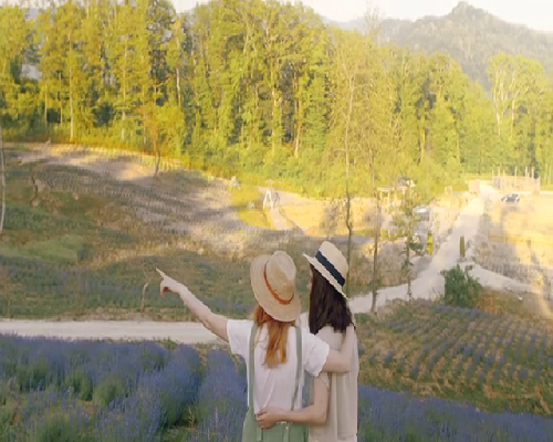 高龄生育的挑战与辅助生殖指南