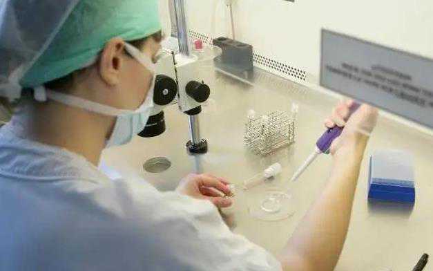 香港冷冻卵子：未婚女性生育规划新选择