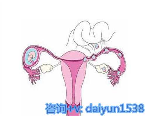 重庆试管婴儿B超检查指南：解析柬埔寨试管婴儿患者为何需要B超