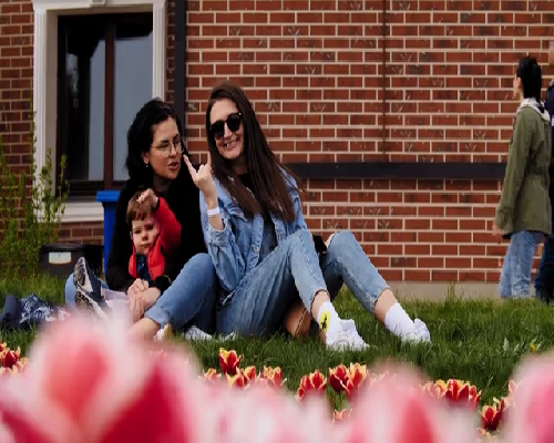 卵子捐赠试管婴儿成功率指南：高龄女性的生育考量