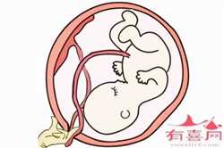 重庆急寻代孕-重庆哪里有代孕中心-重庆供卵试管医院排行