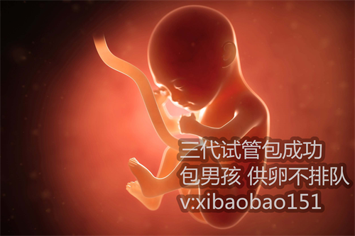 上海试管婴儿供卵哪家专业_试管婴儿的费用高低主要与这几个因素有关！