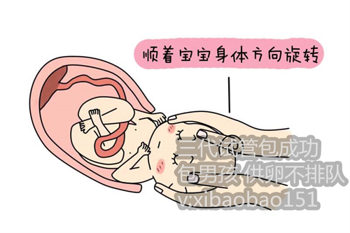 上海助孕中心供卵费用_降压药有5种，哪种效果最好？各有优缺点，医生告诉你