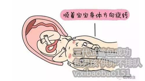 中国可以做供卵试管婴儿吗_试管婴儿最新详细流程