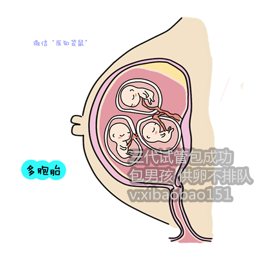 重庆供卵医院二代自怀,广州三代试管婴儿费用明细介绍